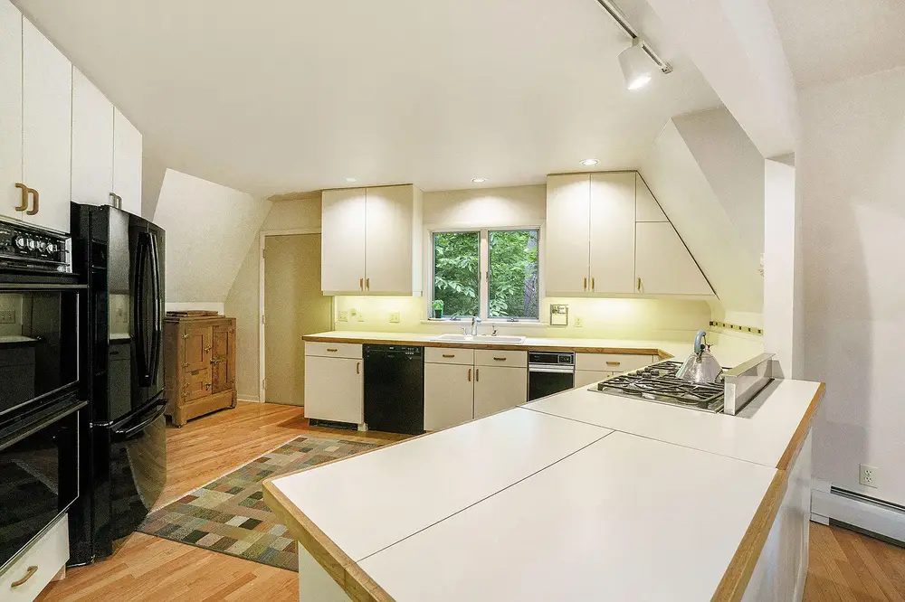 Dense northern Michigan forest canopy surrounding private Silver Lake from above