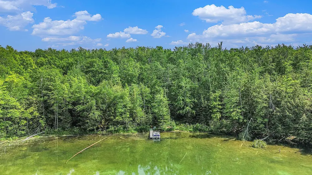 Kitchen detail showing abundant counter space, cabinetry, and natural light